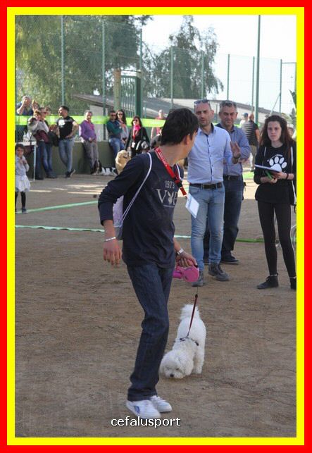 180311 mostra_canina 039.jpg